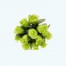 2.5" Diameter Poly Roses 12X12 | Apple